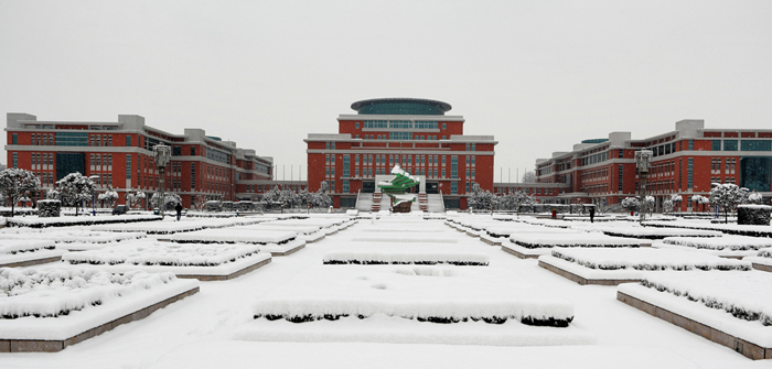 校园雪景图--退休职工  李丽霞.JPG