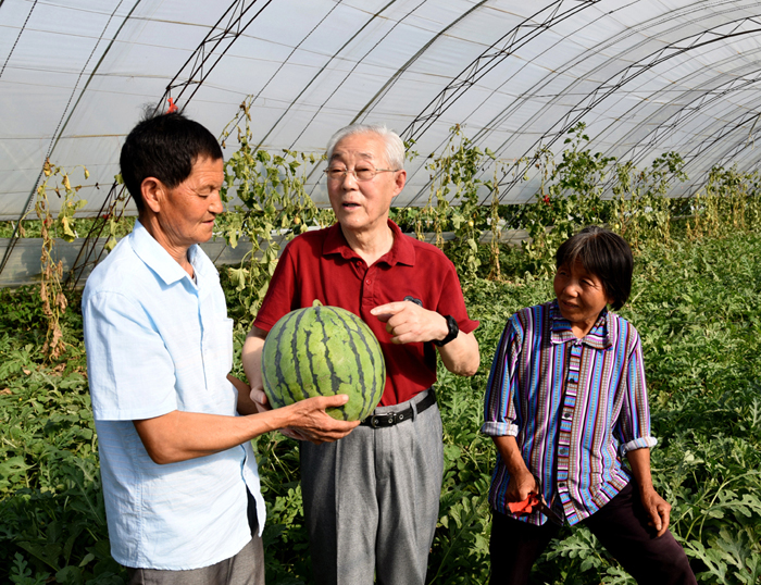 《王鸣与揉谷瓜农》--退休职工  杨树忠.JPG