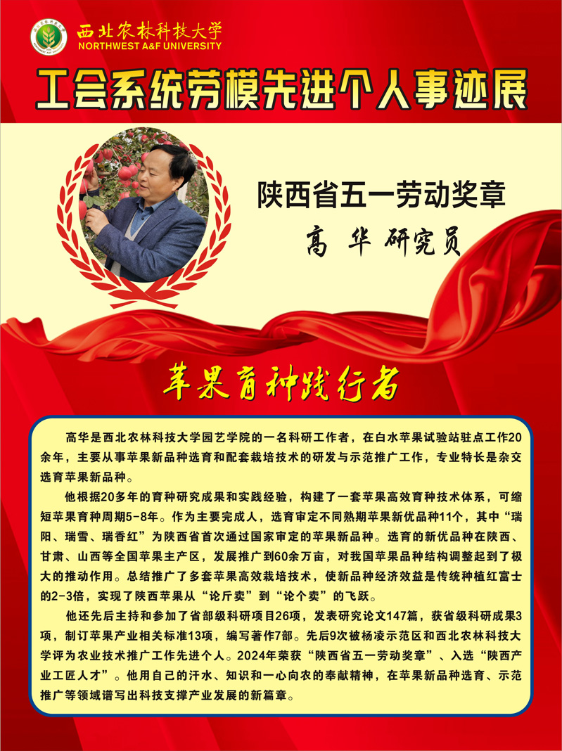 3.高   华  .jpg