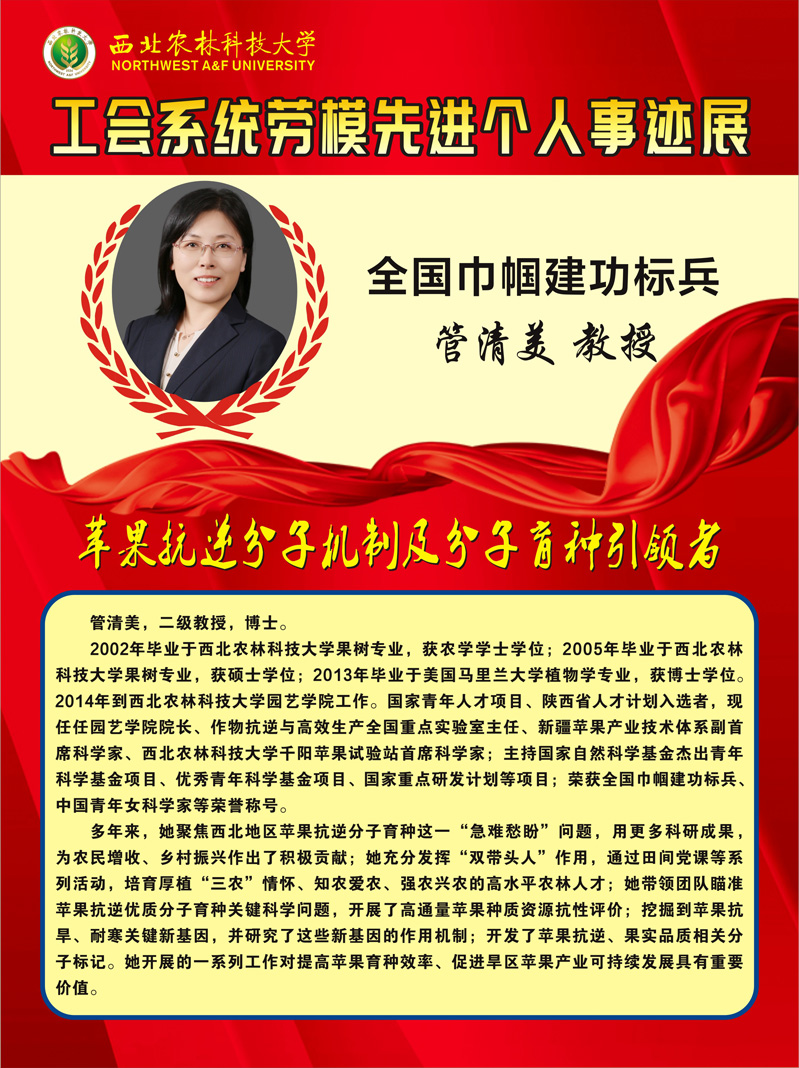 管清美