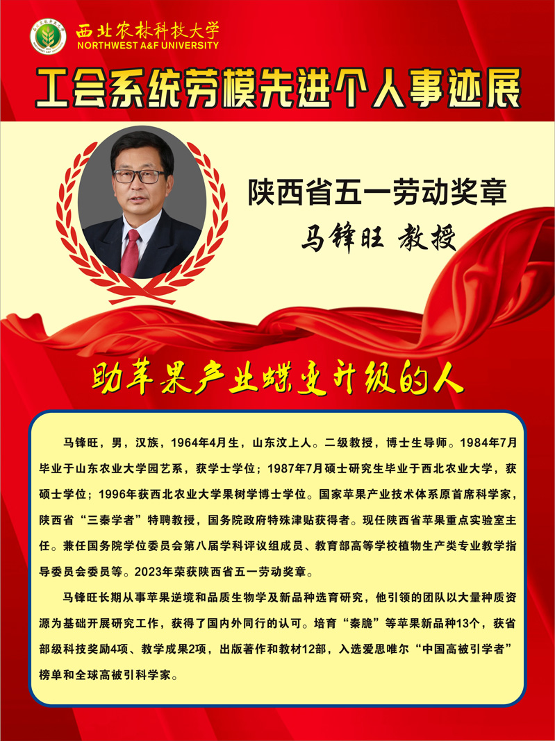 马锋旺