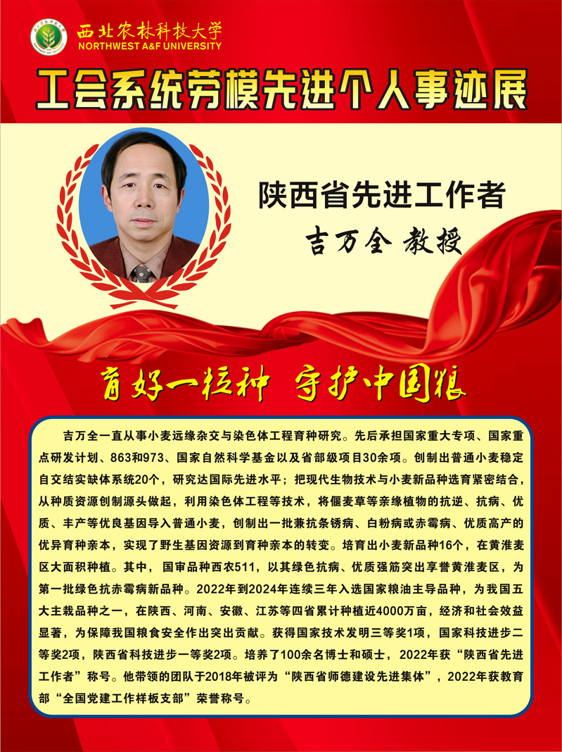 19.吉万全.jpg