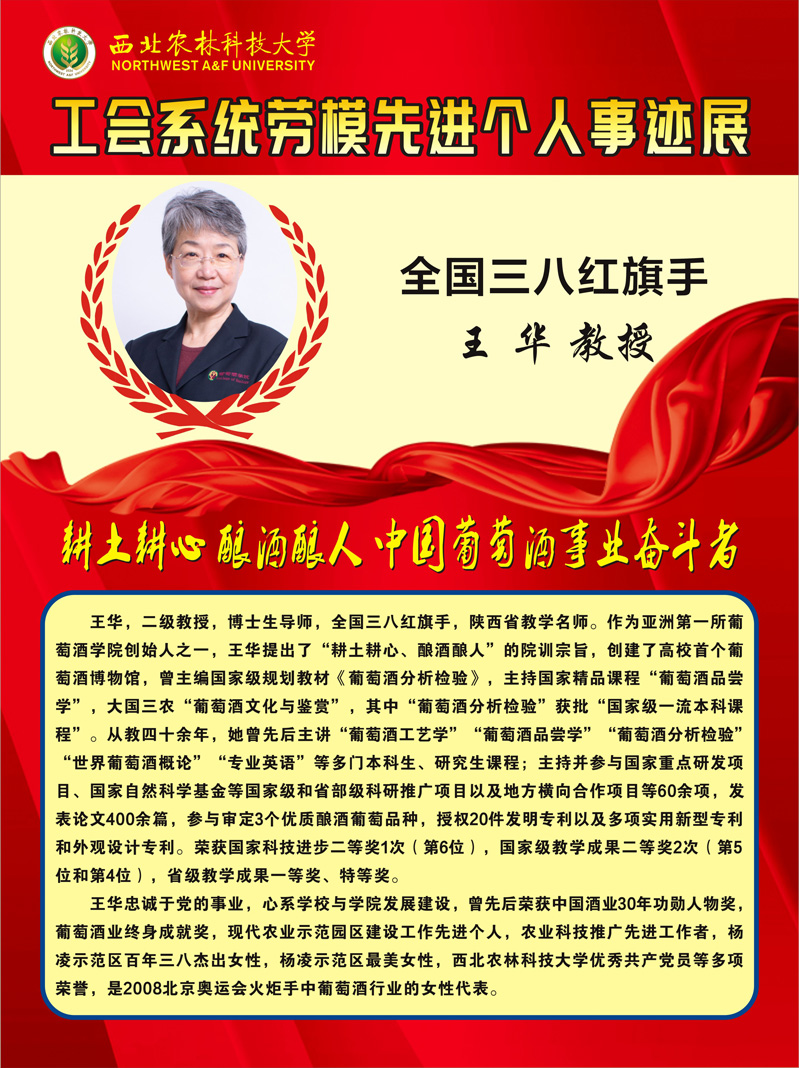 王  华