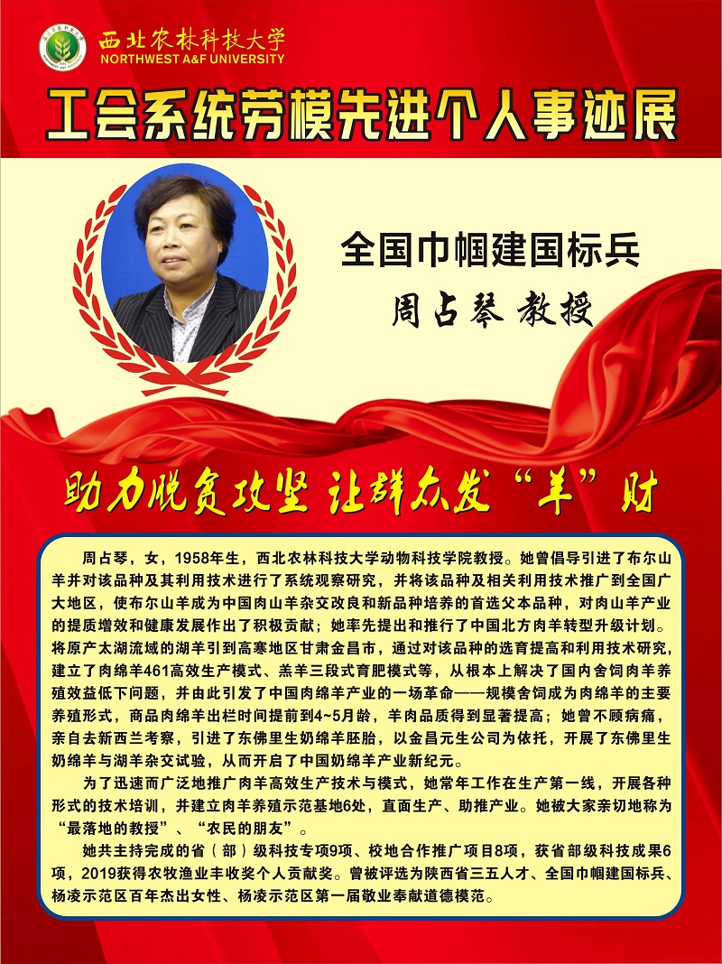 周占琴