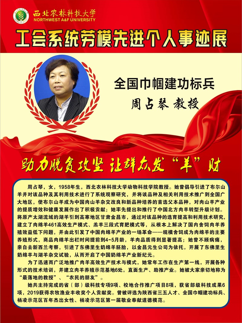 周占琴