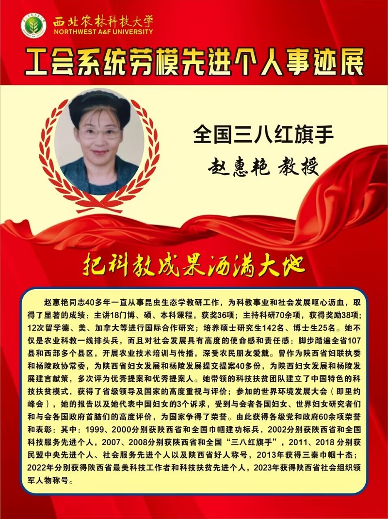 6E3A2337596A6ACC8F31D8D0ADD52684.jpg