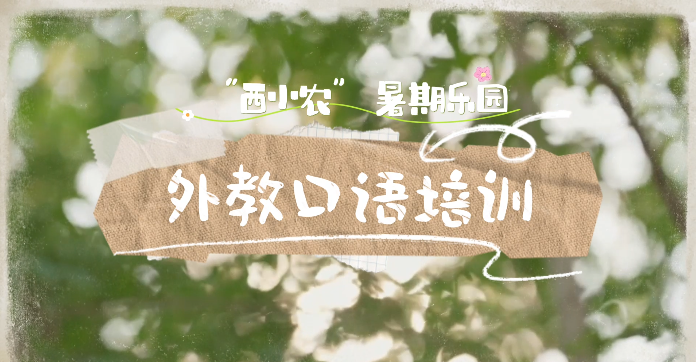 西小农暑期乐园外教口语培训如火如荼开展
