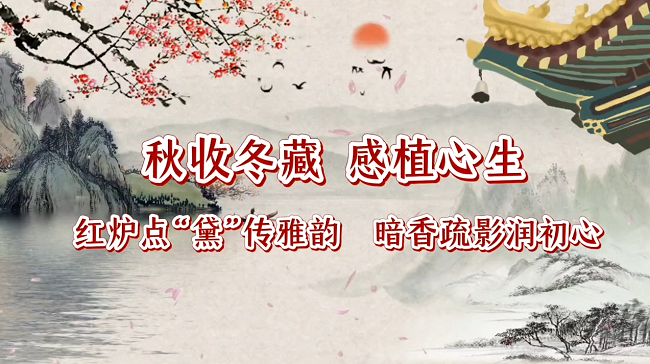 秋收冬藏，感植心生｜教职工人文关怀与健康关爱系列活动——“红炉点‘黛’·暗香疏影”红楼香佩制作活动顺利开展