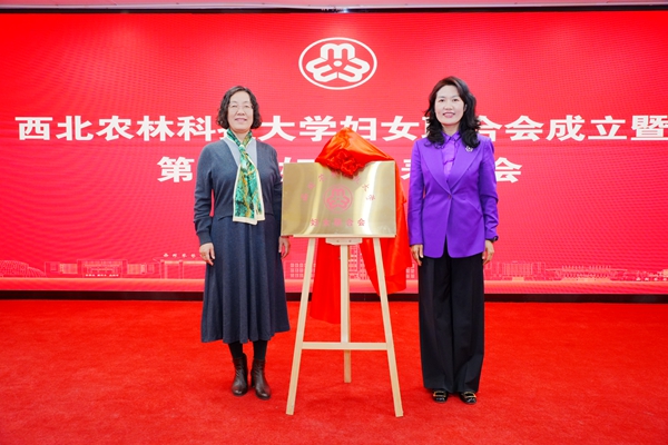 举行揭牌仪式_副本.jpg