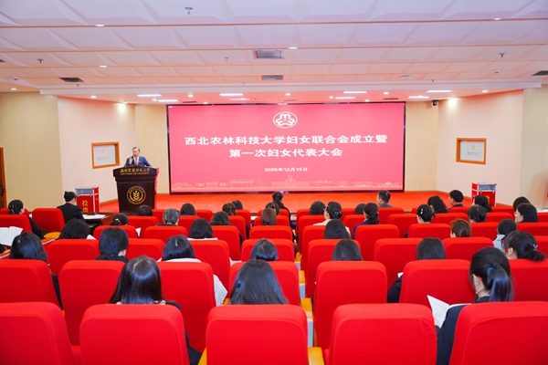 QQ图片20251216100405_副本.jpg
