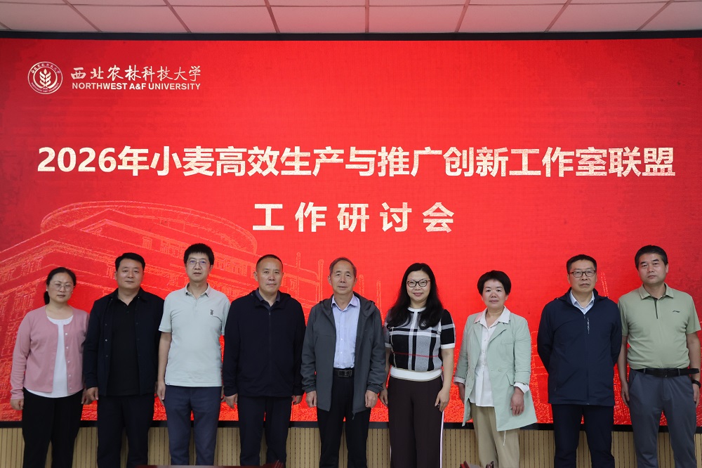 聚力种业创新 赋能丰产增收 | 2026年小麦高效生产与推广创新工作室联盟工作研讨会召开